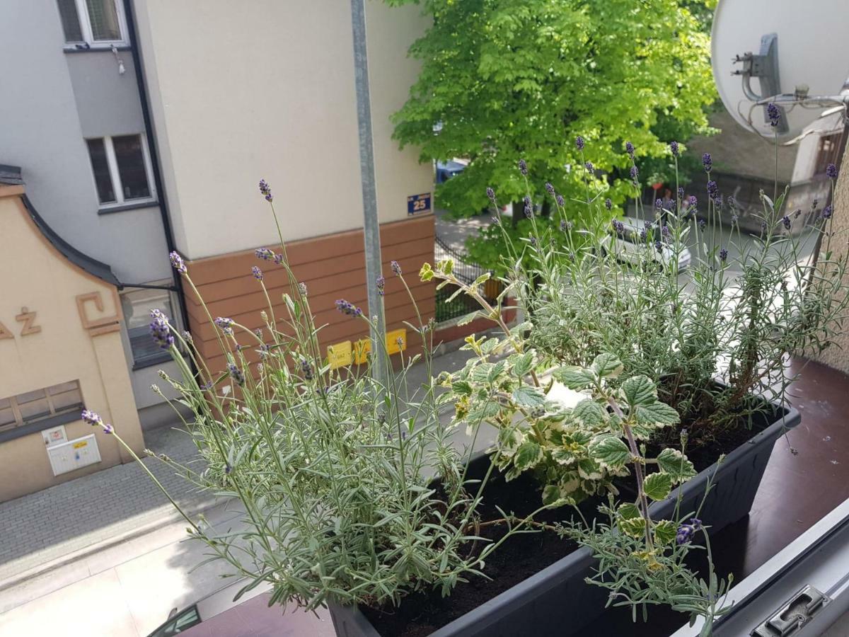 Przytulna I Przestrzenna Garsoniera- Centrum
